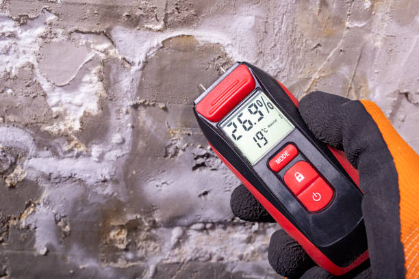 Best Insurance-Related Mold Remediation in Nyssa, OR