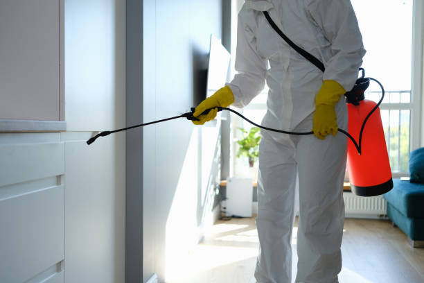 Best Black Mold Remediation in Nyssa, OR